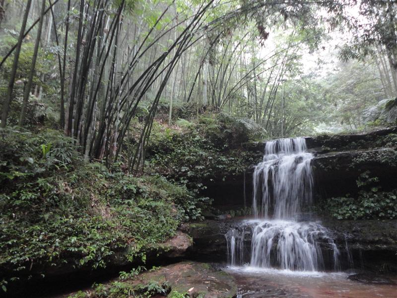 不过我去过梁平的百里竹海,这真是个不错的旅游景区