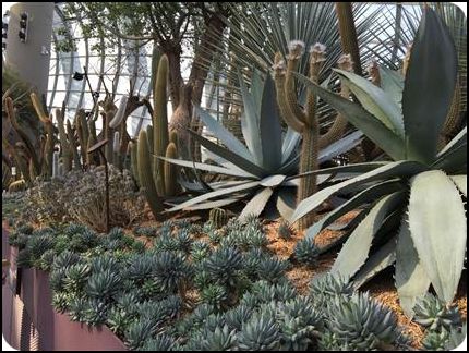 亚洲 新加坡 植物园 秋季 李俊