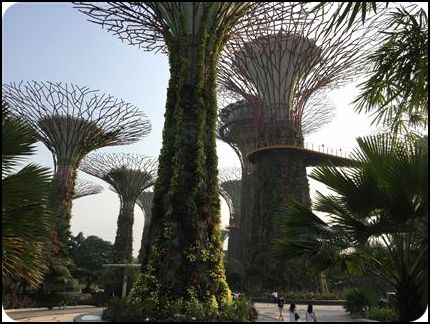 亚洲 新加坡 植物园 秋季 李俊