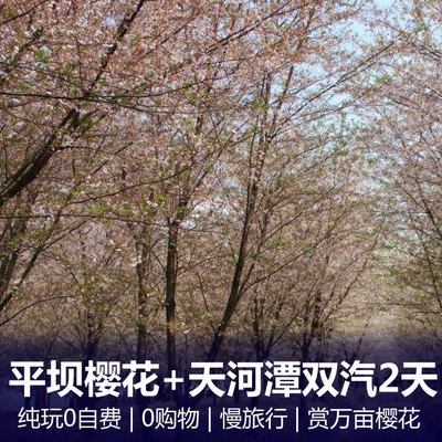 贵州旅游:贵州平坝樱花、天河潭纯玩品质两日游