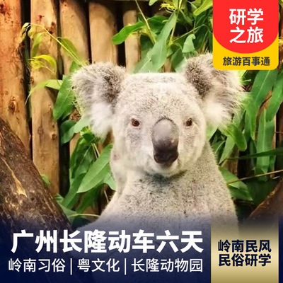 长隆野生动物园旅游:【研学游】广州长隆动车六日游