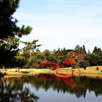 日本旅游:日本本州亲子6日游 含门票迪斯尼+环球影城 双乐园 奈良神鹿