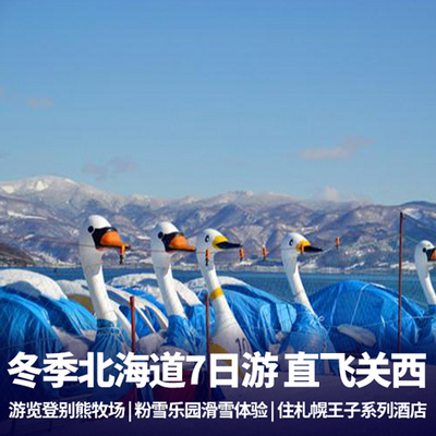 北海道旅游:冬季去北海道7天 宁静的小樽运河