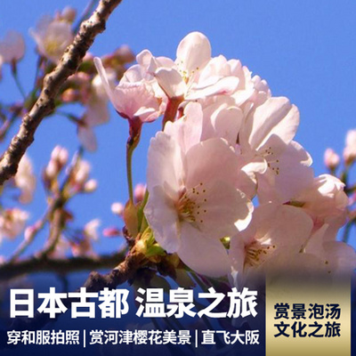 日本旅游:日本双古都赏樱花7日游 直飞往返