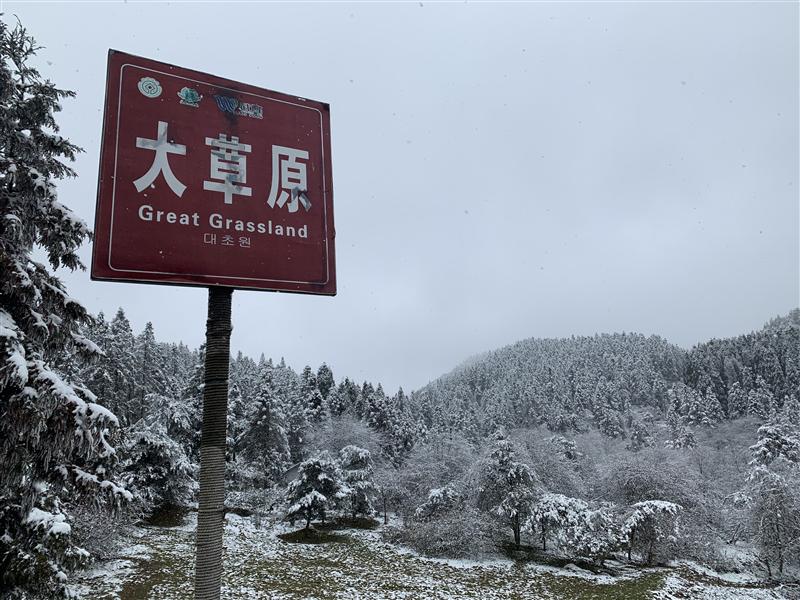 2024重庆仙女山下雪了吗 仙女山旅游