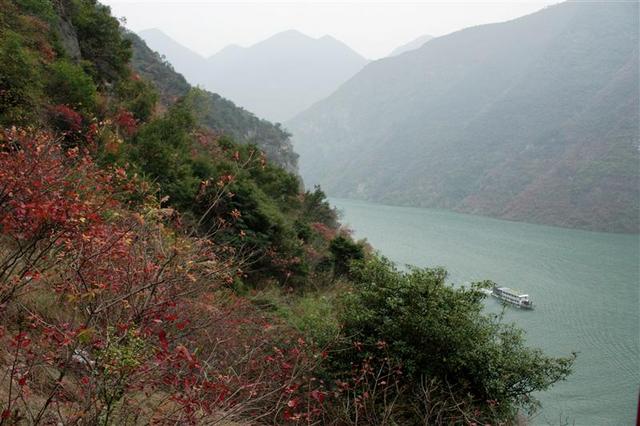 中国 长江三峡 冬天 三峡红叶