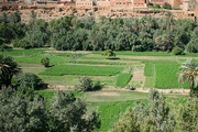 摩洛哥旅游的诱惑及玩法精选（1）