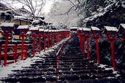 2020秋季日本京都最美红叶观赏地推荐