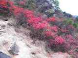 三峡人家：烟雨迷蒙的文化梦幻洗礼（上）