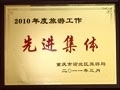 2010旅游先进集体