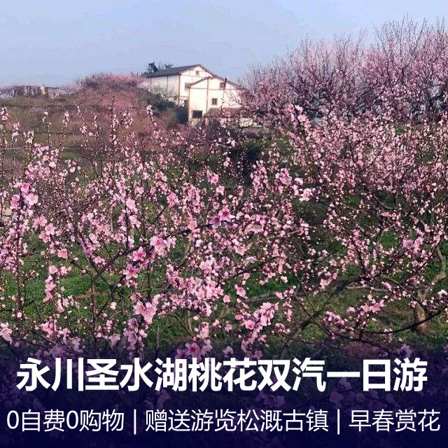 【赏花】永川圣水湖桃花+松溉古镇一日游