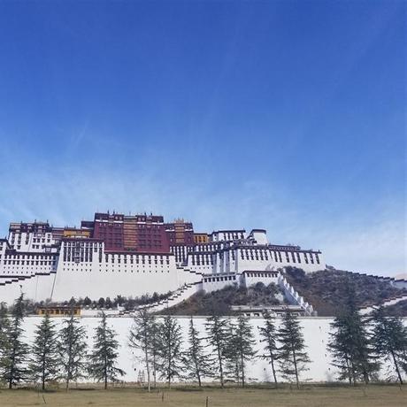 西藏拉萨、纳木错、日喀则单卧单飞8日游体验德吉藏家+赠送布达拉宫夜景+鲁朗国际旅游小镇