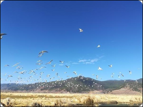 云南 泸沽湖