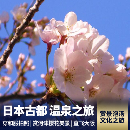 日本双古都赏樱花7日游 直飞往返
