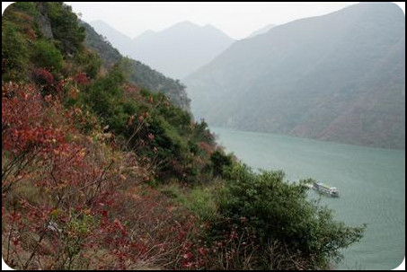 中国 长江三峡 冬天 三峡红叶 