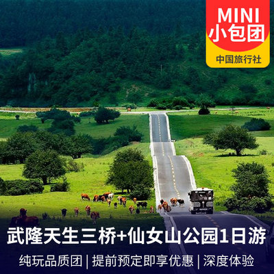 武隆旅游:【mini超级小包团】武隆天生三桥+仙女山国家森林公园一日游