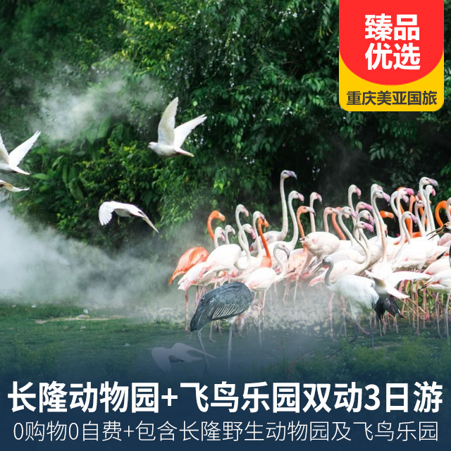 广州长隆野生动物园+飞鸟乐园双动3日游