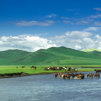 北极村旅游:沈阳+本溪+丹东+盘锦双卧11日游