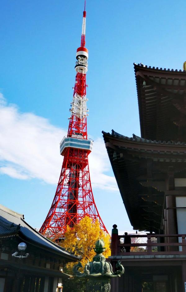 日本本州三古都温泉双飞6日游